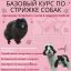 Обучение стрижке собак и кошек в Новороссийске 2