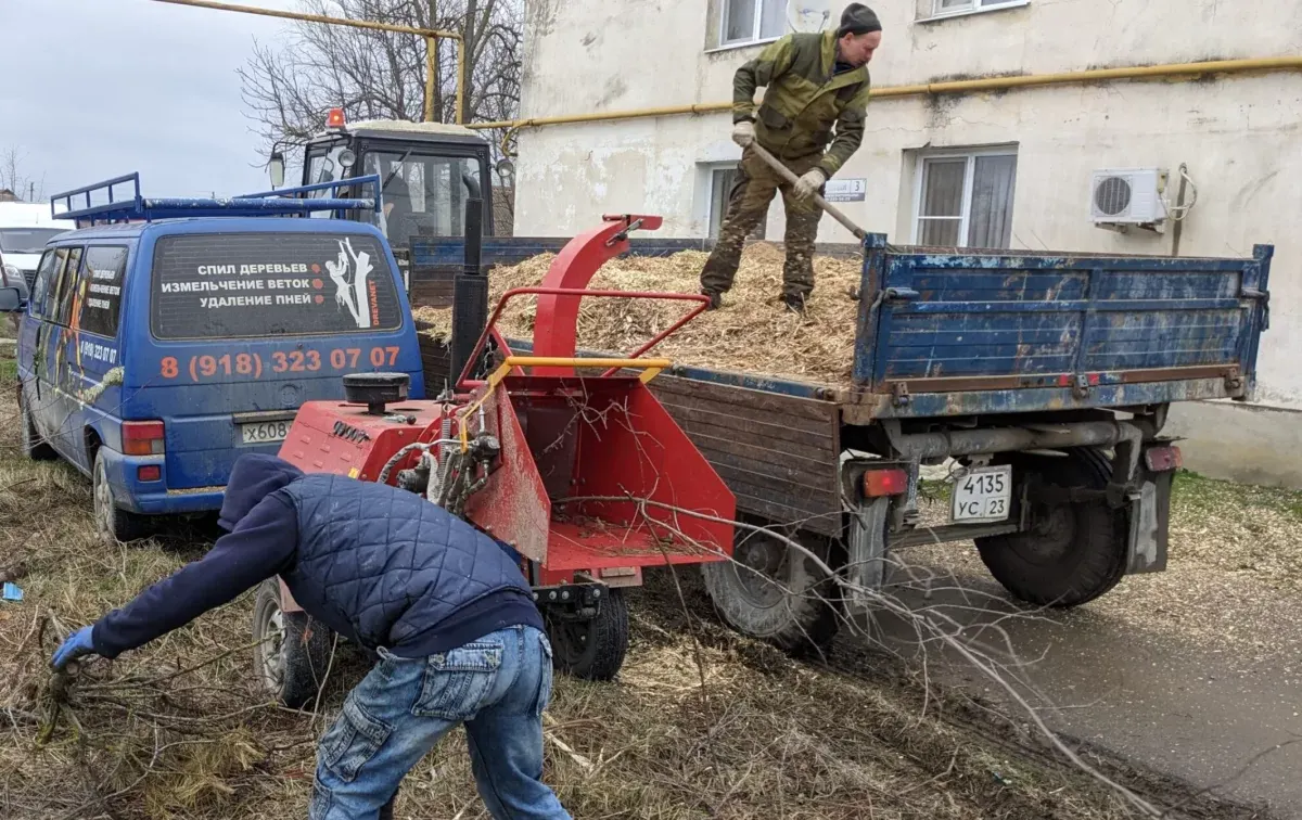 Измельчение веток